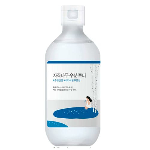 Round Lab Birch Juice Moisturizing Toner 300 - Round Lab Hudpleje  - 8809738600214